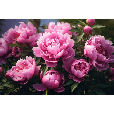 Peony Wall Painting